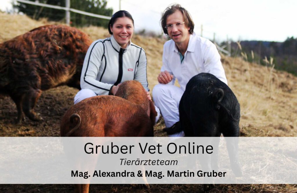 Gruber Vet Online Tierärzteteam Martin und Alexandra Gruber